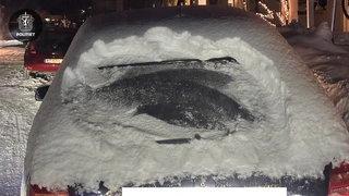 Bildet er beskrevet av tidligere melding.