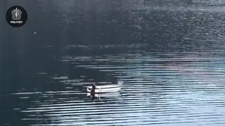 Bildet er beskrevet av tidligere melding.