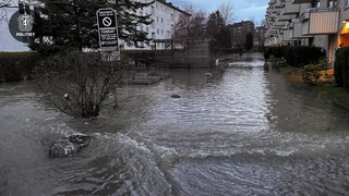 Bildet er beskrevet av tidligere melding.