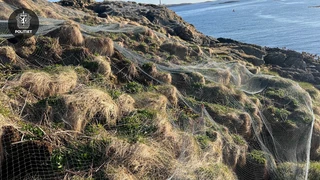 Bildet er beskrevet av tidligere melding.