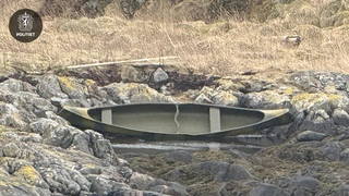 Bildet er beskrevet av tidligere melding.